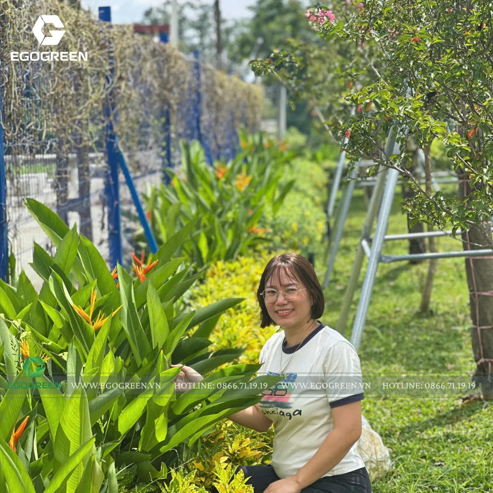 Buổi nghiệm thu sau 6 tháng bảo hành với khuôn viên đã thay đổi rõ rệt. 